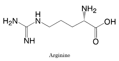 精力剤の成分　アルギニン